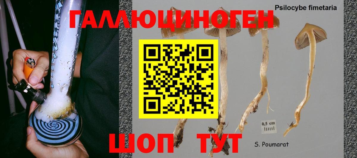 Галлюциногенные грибы мицелий  Вход с VPN  купить  сайты  Выкса 